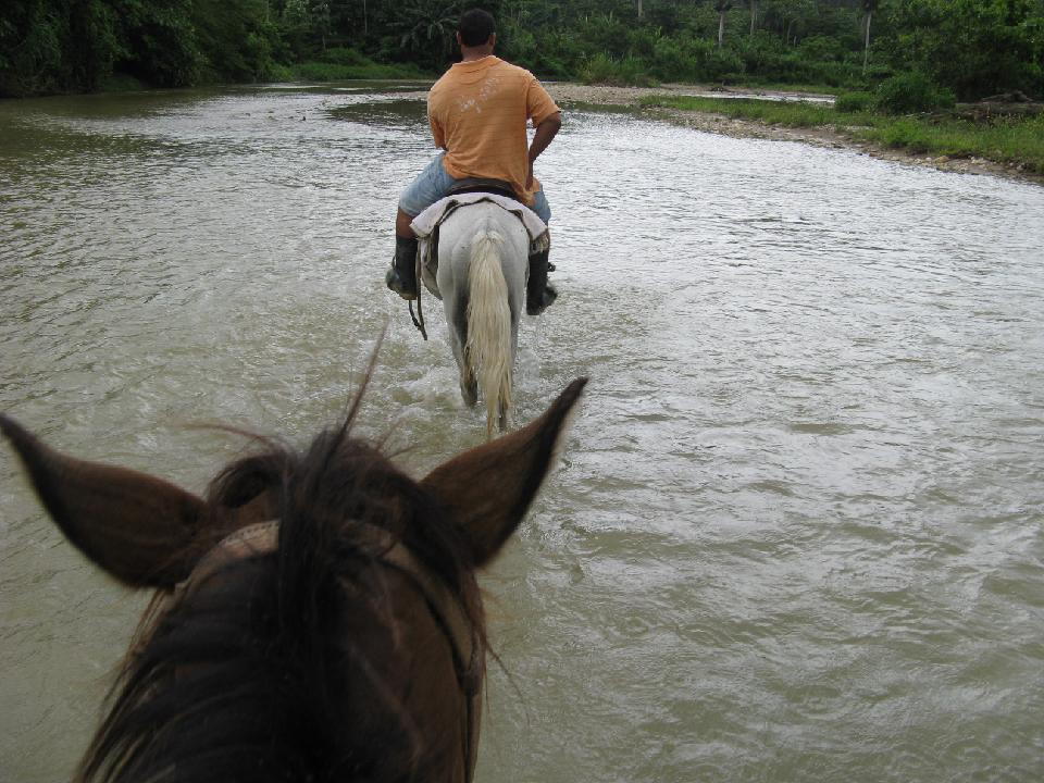 2011_08_02 dom-rep  289.jpg